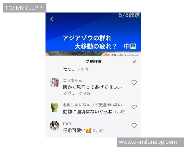 北看台球迷用手电筒拼出冠军奖杯形状为国安加油助威亚冠二国安战麦克阿瑟 北看台球迷用手电筒拼出冠军奖杯形状为国安加油助威亚冠二国安战麦克阿瑟